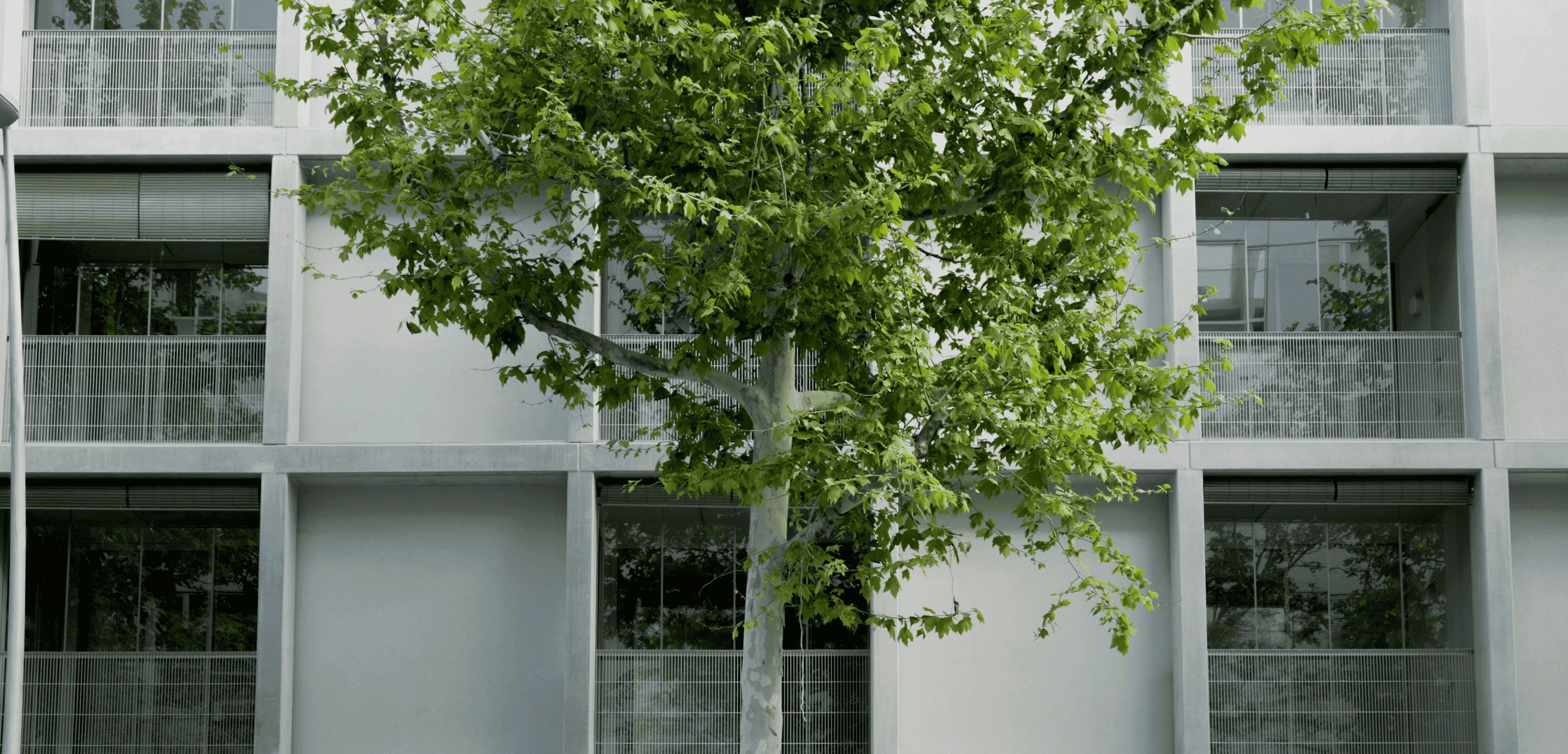 Interior de un restaurante vacío con una gran cristalera de fondo que deja ver el mar.